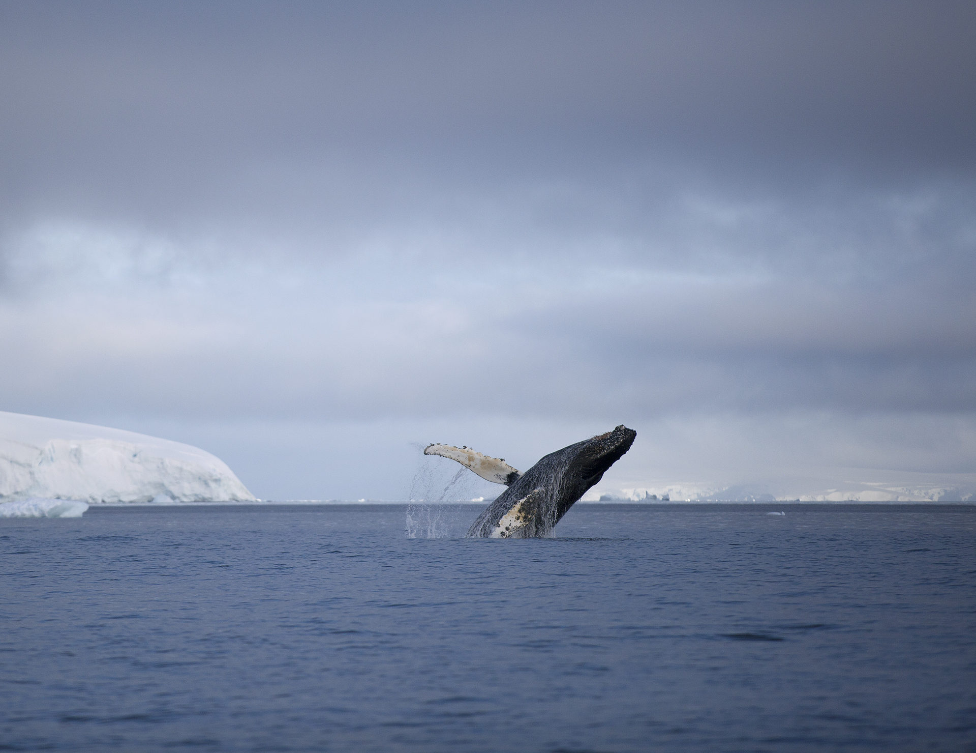 Tremors from Antarctica